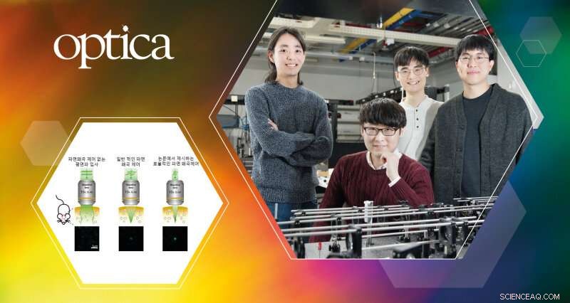 Enhancing Deep Optical Microscopy for Superior Biological Tissue Imaging