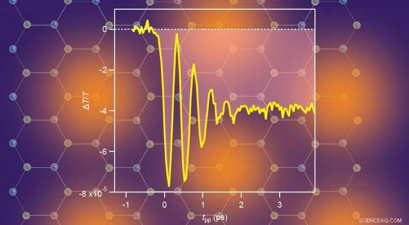 Ultrafast Switching to a Hidden Insulating‑Like Metastable State Demonstrated in 3R‑TaSe₂