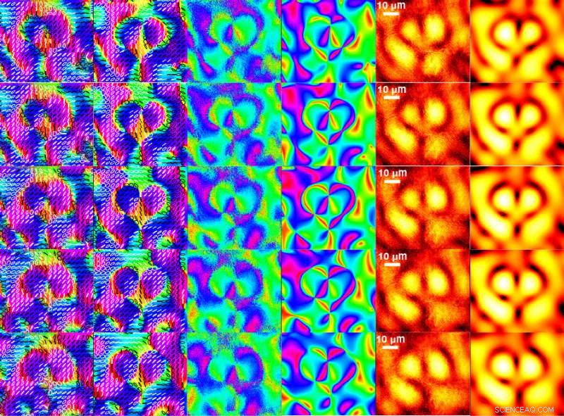 Harnessing Optical Singularities: From Super-Resolution Imaging to Precision Optical Trapping