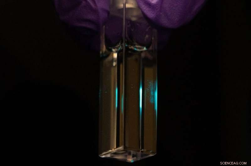 Illuminating Pathways to Cleaner Water: Innovative Fluorescence Techniques