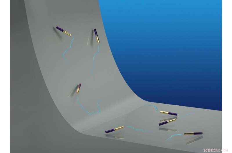 Researchers Develop Method for Heavy Microswimmers to Ascend Steep Surfaces