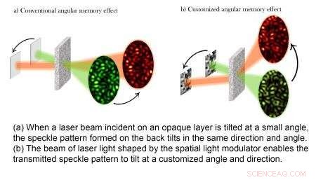 Revolutionizing Memory Capacity with Speckle Pattern Analysis