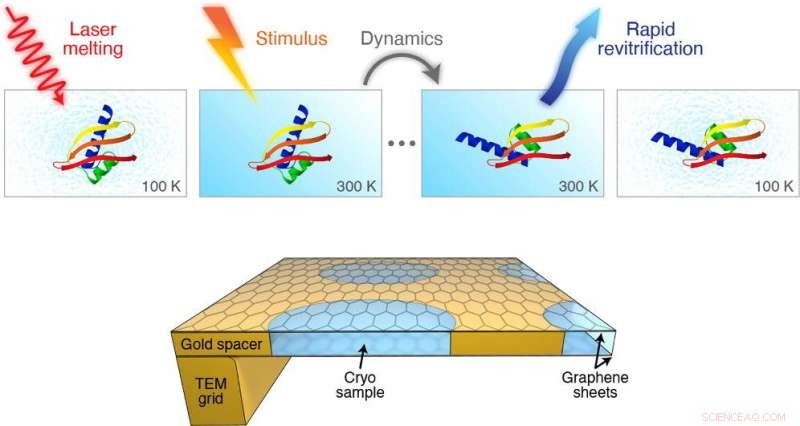 Laser Technology Enhances Time Resolution in Cryo‑Electron Microscopy
