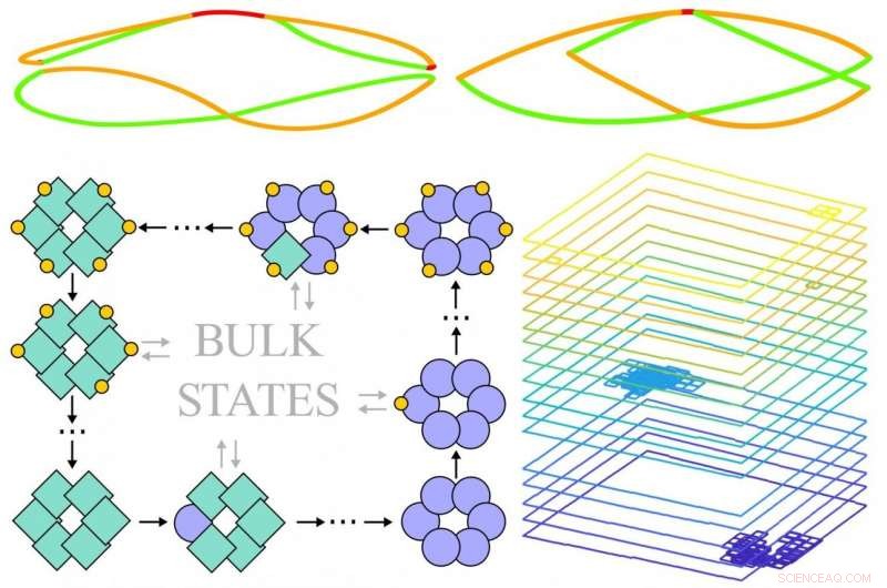 Unveiling Topological Principles in Biological Systems
