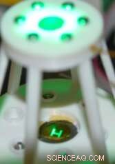 Shape‑Adaptive Curved Imager Leveraging Printed Optoelectronic Pixels