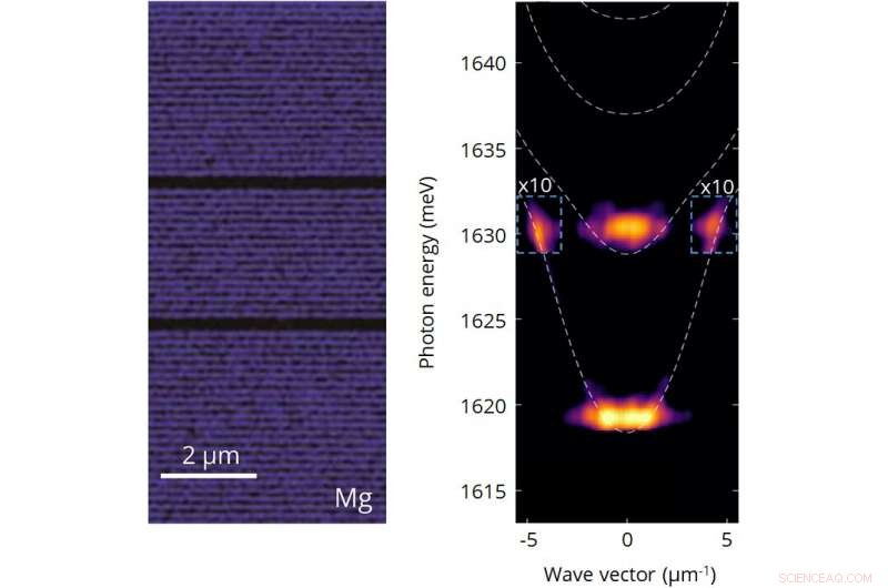 Exploring Non‑Linear Dynamics in Coupled Optical Microcavities
