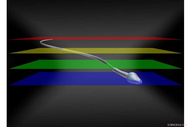 Fast 3D Microscopy: A Novel Method for Rapid Biological Imaging