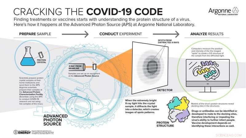Illuminating Discovery: X‑ray Research at Argonne National Laboratory