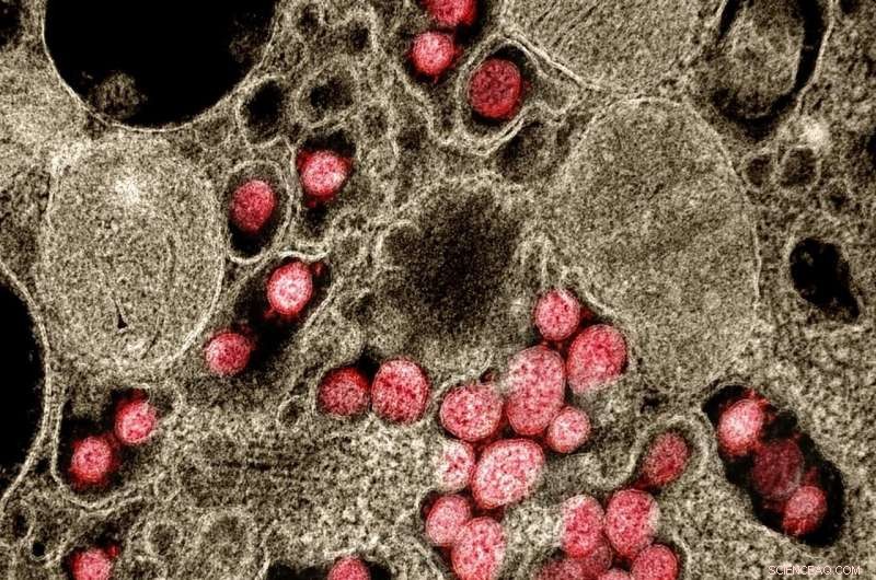 LEDs Provide a Reliable Path to Coronavirus Disinfection