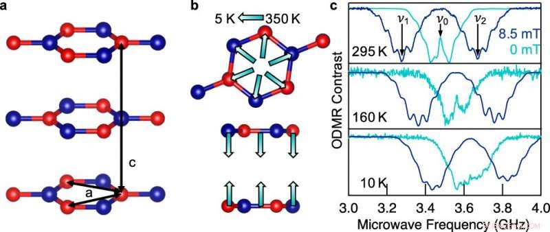 Boron Nitride Qubit in a Crystal Lattice: A Reliable Sensor for Advanced Applications