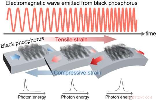 Unlocking Advanced Semiconductor Devices with Black Phosphorus
