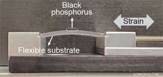 Unlocking Advanced Semiconductor Devices with Black Phosphorus
