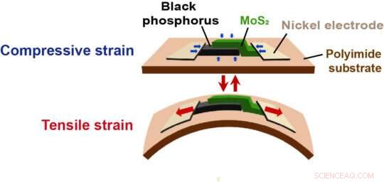 Unlocking Advanced Semiconductor Devices with Black Phosphorus