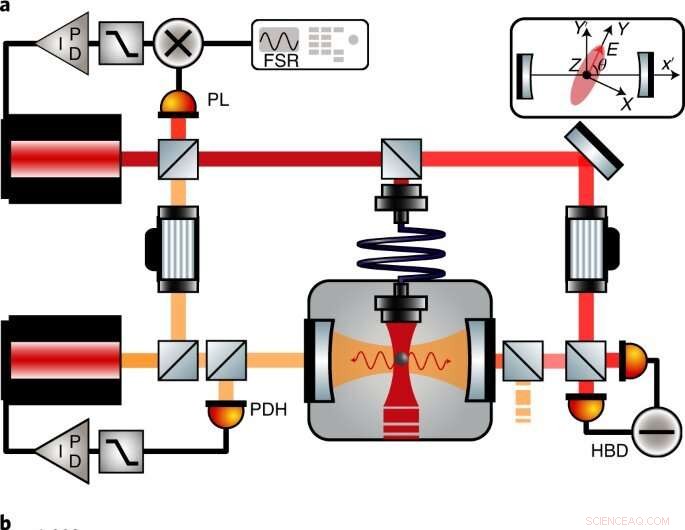 New Breakthrough: Vectorial Polaritons Observed via Nanosphere Levitation in an Optical Cavity