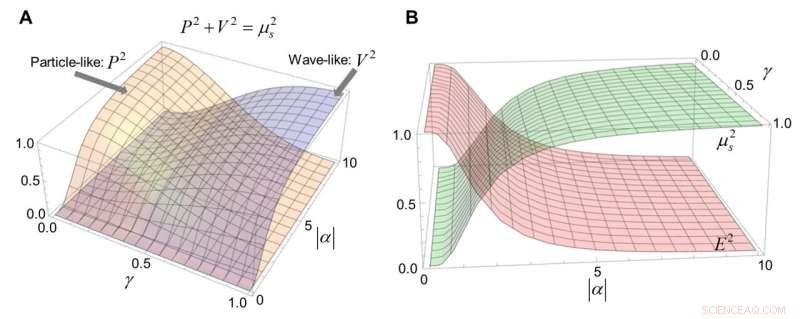 Robust Experimental Confirmation of Wave‑Particle Duality