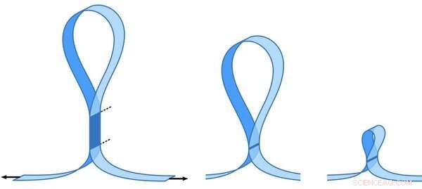 Eliminate Loops & Blisters in Adhesives for Cleaner, Longer-Lasting Applications