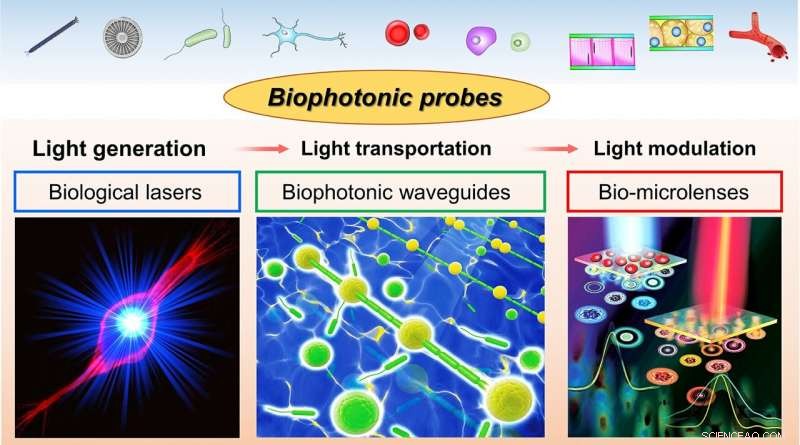 Biophotonic Probes for Advanced Bio‑Detection & Imaging