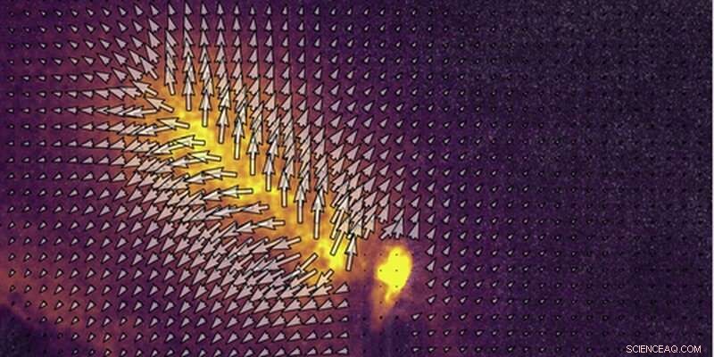 Revolutionary Technique for Visualizing Microscopic 3D Displacements Across Large Areas