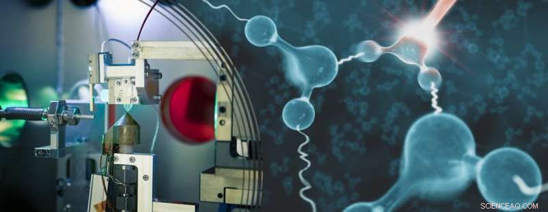 First Direct Observation of Quantum Interaction Between Neighboring Water Molecules