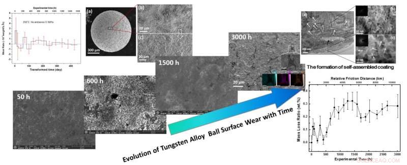 New Study Uncovers Friction and Wear Dynamics of Tungsten Alloy Balls