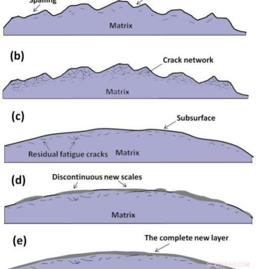 New Study Uncovers Friction and Wear Dynamics of Tungsten Alloy Balls