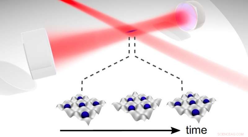 Pioneering Experimental Realization of a Dissipative Time Crystal