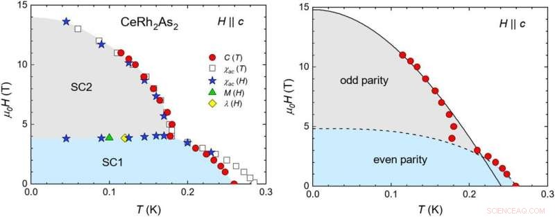 Discovery of a Novel Superconducting Material with Unique Phase Transitions