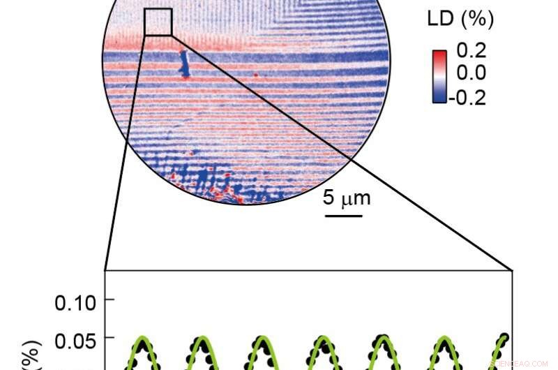Unexpected Discovery in Solid‑State Physics Reveals Unusual Electron Behavior
