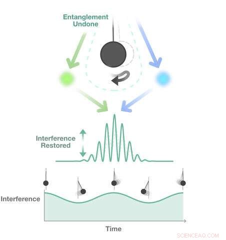 Using Pendulums to Probe Quantum Gravity and Entanglement