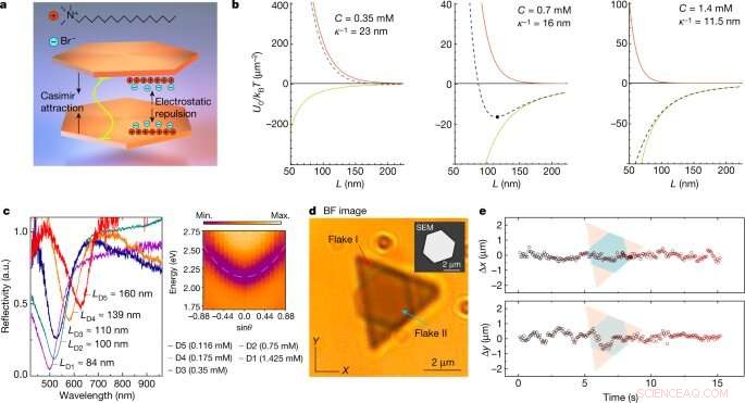 Self-Assembled Optical Cavities Achieve Strong Coupling, Enabling Polariton Formation