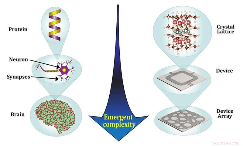 Advanced Quantum Materials Power Artificial Brain Network Simulations
