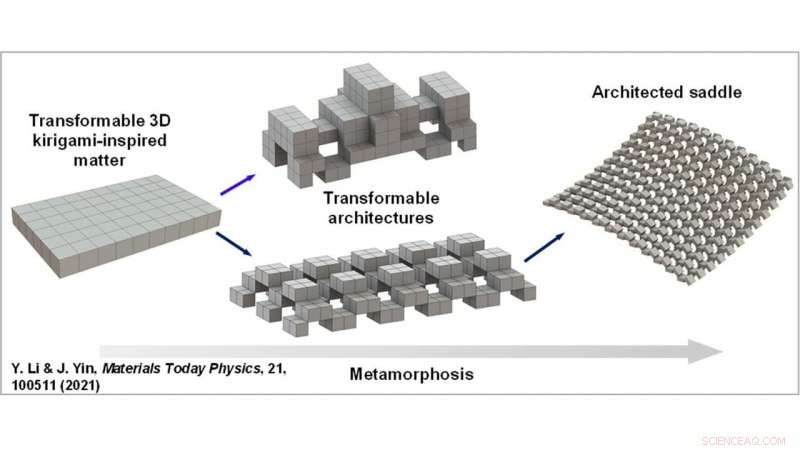 North Carolina State Researchers Develop Shape‑Shifting Materials for Adaptive Architecture