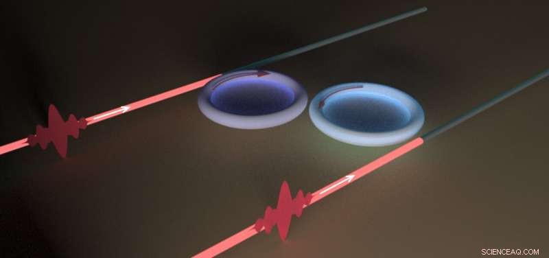 Tailoring Loss Mechanisms Enables Novel Perfect Light Absorption in WGM Microresonators