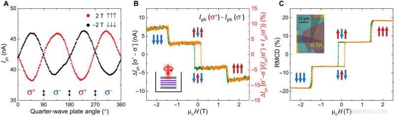 Spin-Driven Photovoltaic Effects in Magnetic van der Waals Heterostructures