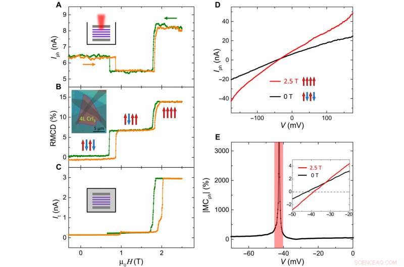 Spin-Driven Photovoltaic Effects in Magnetic van der Waals Heterostructures