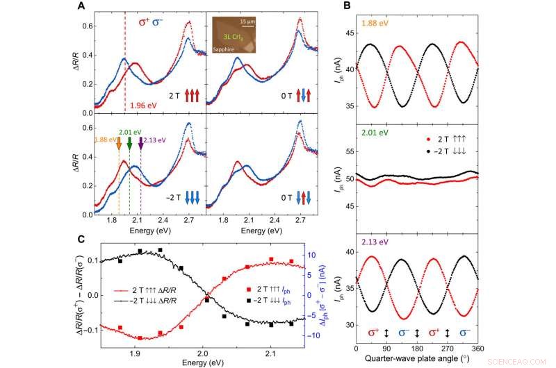 Spin-Driven Photovoltaic Effects in Magnetic van der Waals Heterostructures