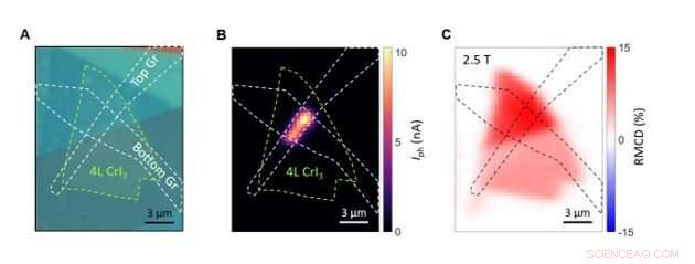 Spin-Driven Photovoltaic Effects in Magnetic van der Waals Heterostructures