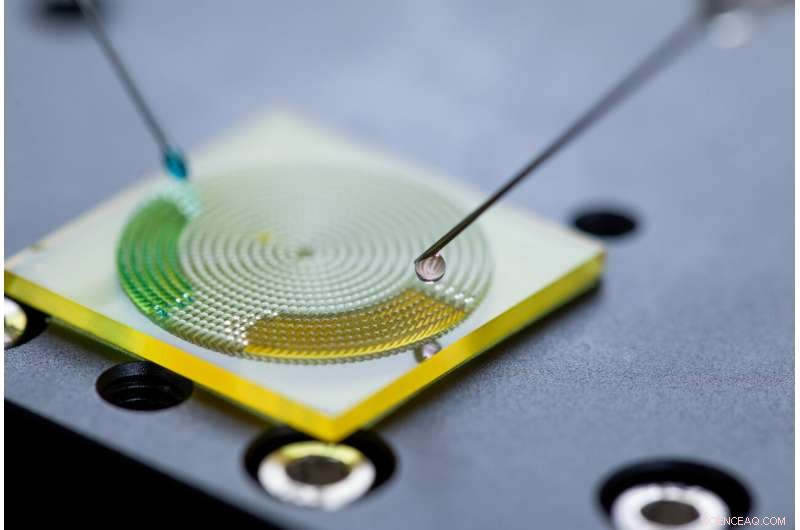 Revolutionary Liquid Directional Steering Achieved on Bio-Inspired Surface