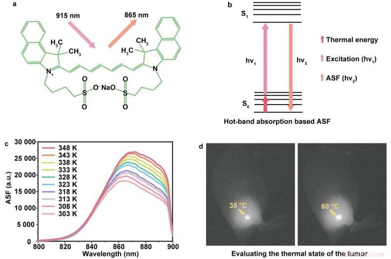Enhancing Anti-Stokes Bioimaging with Indocyanine Green Hot-Band Absorption