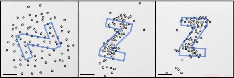 Simulating Natural Sculpting: How Water and Wind Forge Complex Shapes