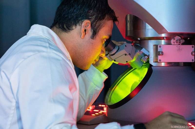 Microscopic Full-Color LEDs Pave Way for Ultra‑Compact Displays