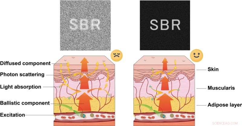 Optimizing and Expanding the Near‑Infrared Imaging Window for Superior Biomedical Applications