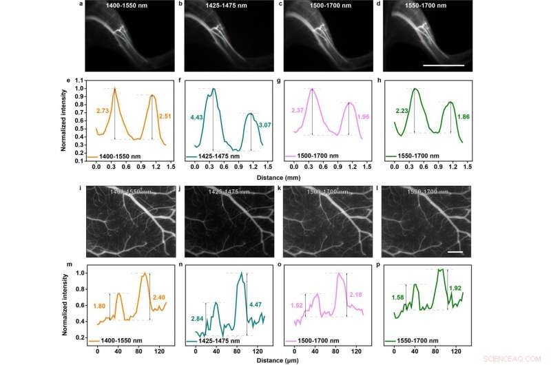Optimizing and Expanding the Near‑Infrared Imaging Window for Superior Biomedical Applications