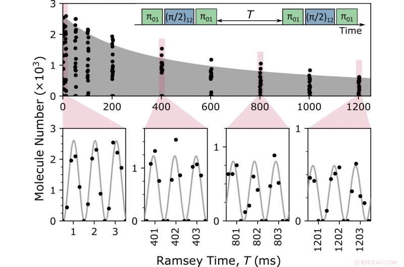 Robust Qubit Storage Achieved with Ultracold Polar Molecules
