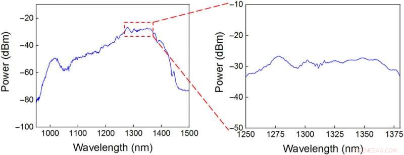 Millimeter-Scale Chip-Based Supercontinuum Generation: Compact, High-Performance Light Source