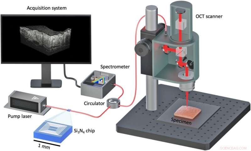 Millimeter-Scale Chip-Based Supercontinuum Generation: Compact, High-Performance Light Source