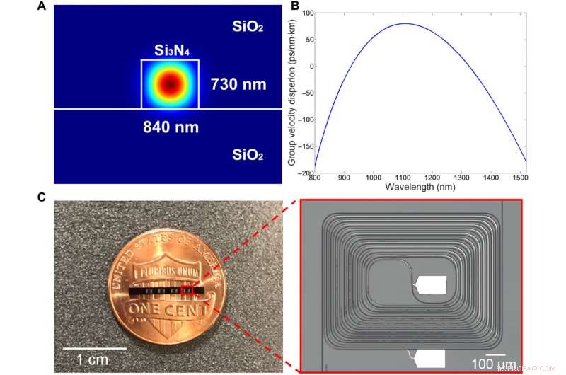 Millimeter-Scale Chip-Based Supercontinuum Generation: Compact, High-Performance Light Source