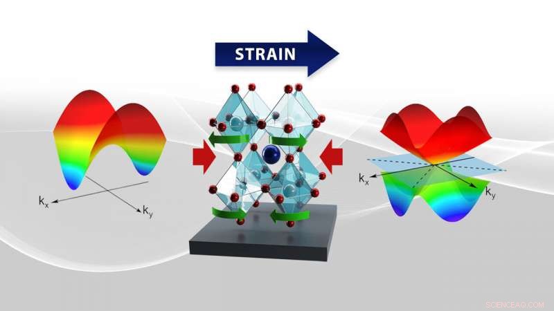 Exploring Correlated Electron Dynamics in Perovskite Oxides under Extreme Quantum Conditions