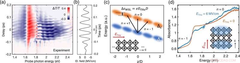 Room‑Temperature Wannier‑Stark Localization Demonstrated in Polycrystalline MAPbI₃ Perovskite