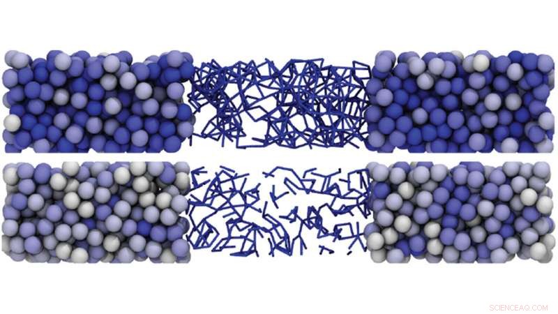 Enhanced Shear Thickening Prediction Through Advanced Imaging